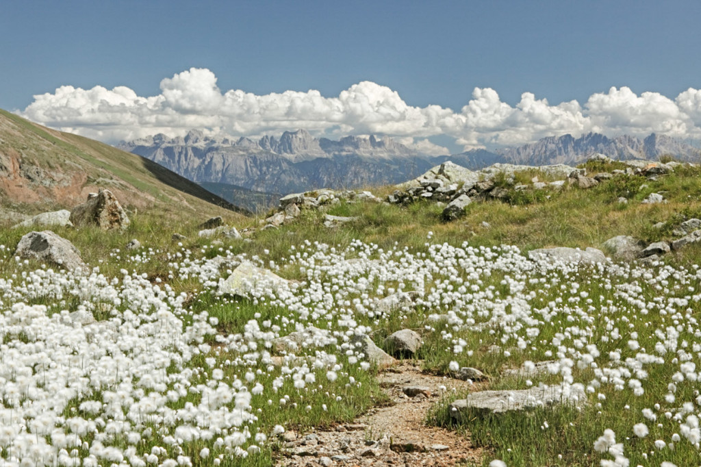 Berge Frühling
